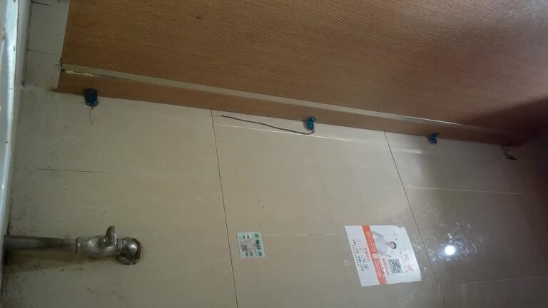 Anyone who wanted saw them defecate in the toilet