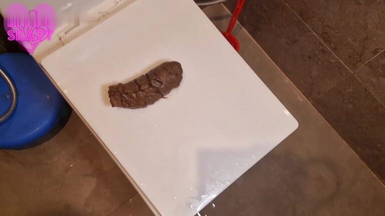 Kitty Skatt   Desperate Toilet Lid Release