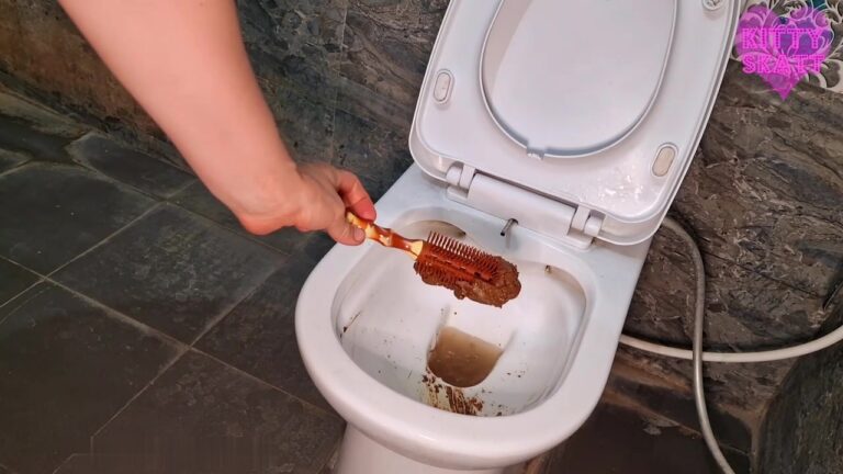 Kitty Skatt   Toilet Aclogcalypse Disasters